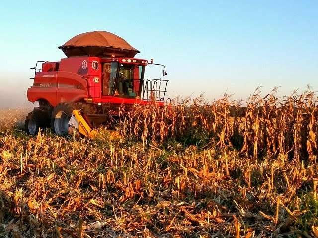 Conab atende pedido e vai negociar 60 mil toneladas de milho de MS