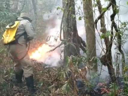 De norte a sul: incêndios avançam no Pantanal e atingem Parque do Ivinhema