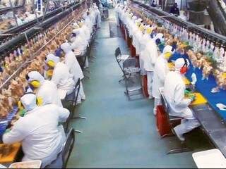 Linha de produção da indústria a BRF em Dourados (Foto: Divulgação)