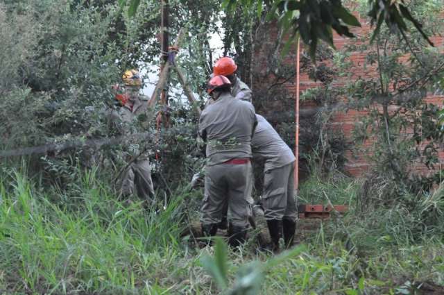 Ap&oacute;s 3 h de trabalho, bombeiros descobrem carca&ccedil;a de vaca em po&ccedil;o desativado