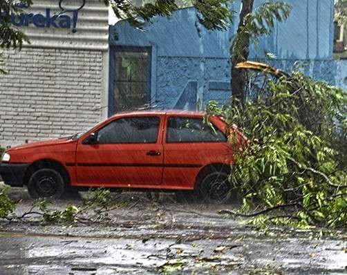 Ventos de 87 km/h causam estragos e bombeiros atendem 35 ocorr&ecirc;ncias