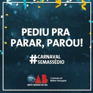 Banner da campanha da Ordem dos Advogados neste Carnaval. (Foto: Divulgação OAB).