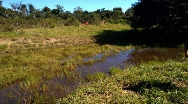 Agricultor &eacute; multado em R$ 10 mil por criar gado em &aacute;rea de nascente