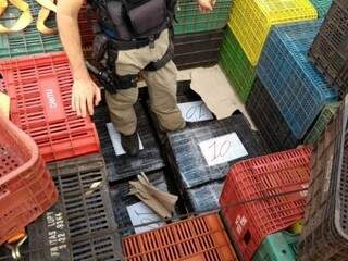 Policial rodoviário federal retira tabletes de maconha de baixo de caixas usadas para transportar frutas (Foto: Adilson Domingos)