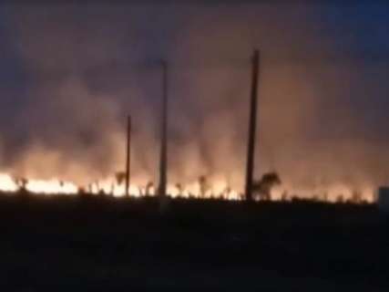 Incêndio de grandes proporções atinge vegetação à margem do anel viário 