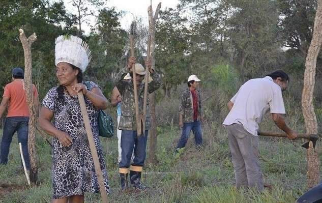 Juiz mant&eacute;m &iacute;ndios em &aacute;rea invadida e d&aacute; 120 dias para retirada de gado