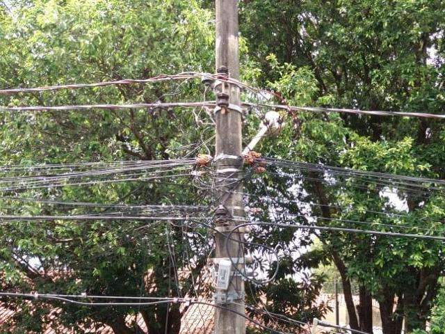 &Aacute;rvores encobrem postes de luz e deixa escurid&atilde;o em rua do Cabre&uacute;va