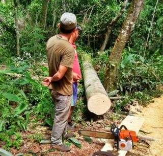 Homens autuados pela PMA e toras de madeira (Foto: PMA/Divulgação)