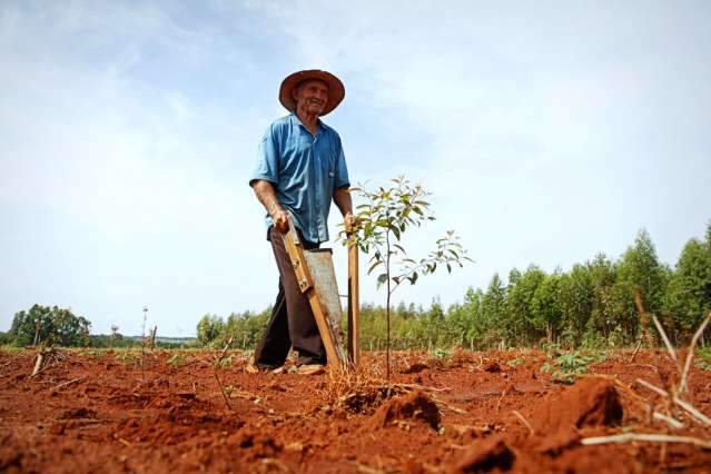 Projeto sustent&aacute;vel transforma renda e une fam&iacute;lias de pequenos produtores