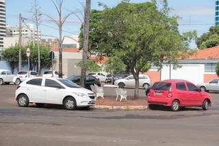 Na Piratininga com a Osvaldo Cruz, rotatória é usada como estacionamento. (Foto: Marcos Ermínio)