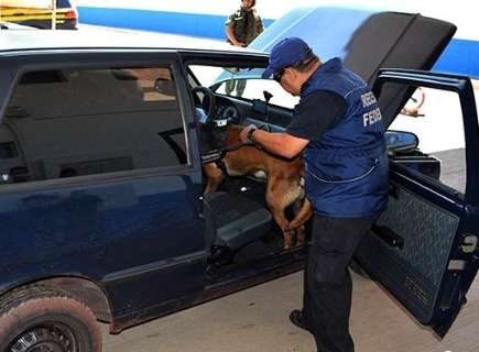 Operação contra o crime organizado envolve 10 forças de segurança