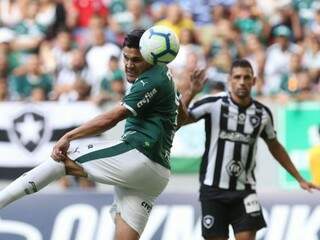Lance do jogo entre Palmeiras e Botafogo (Foto: Cesar Greco/Agência Palmeiras)
