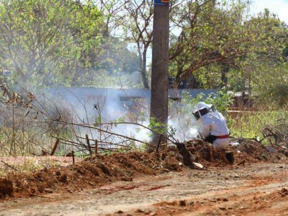 Ciclista atacado por abelhas est&aacute; est&aacute;vel e segue em observa&ccedil;&atilde;o