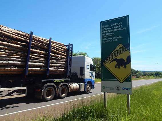 Rodobicho vai mapear animais em BRs de Mato Grosso do Sul