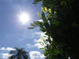 Sol brilha forte no começo da tarde desta segunda-feira em Campo Grande, que marca 22.8ºC. (Foto: Kísie Ainoã).
