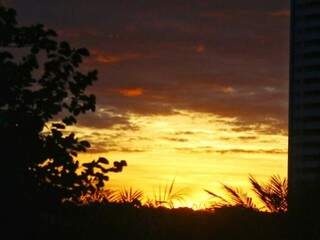 Tempo amanhecendo na capital sul-mato-grossense (Foto: André Bittar) 