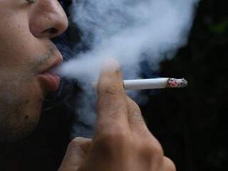 Pesquisa da Universidade Estadual do Paraná revelou que quem fuma cigarros de marcas paraguaias aspira pedaços de fungos e até insetos e bactérias. (Foto: André Bittar)