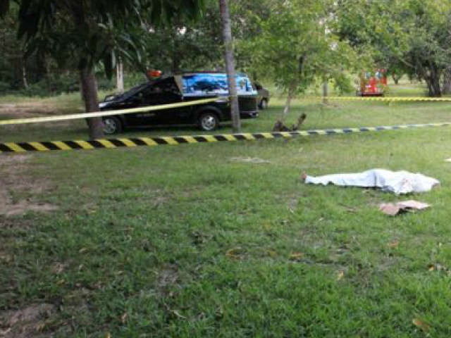  Idoso morre ap&oacute;s ataque de marimbondos em Rio Verde