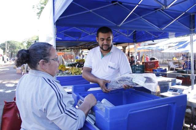 Semana do Peixe come&ccedil;a nesta ter&ccedil;a com venda em parques e feiras