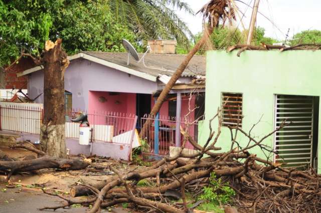 Ventos derrubaram &aacute;rvores em todo canto, pelo menos 3 sobre casas
