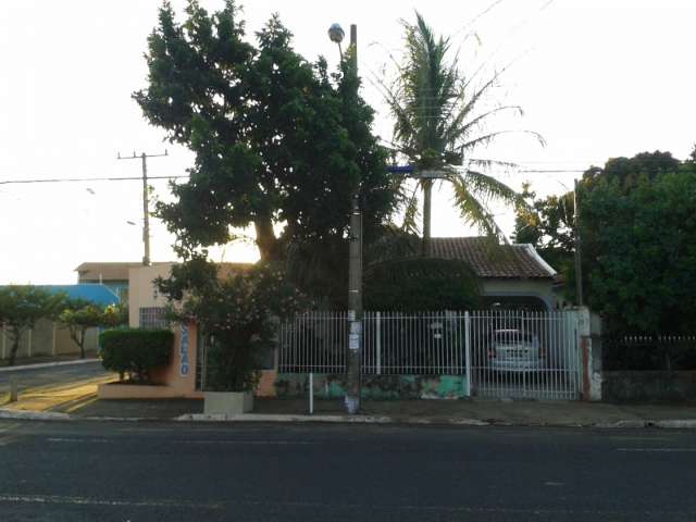 Placa em p&eacute; de abacates deixa quem passa curioso no bairro Taveir&oacute;polis