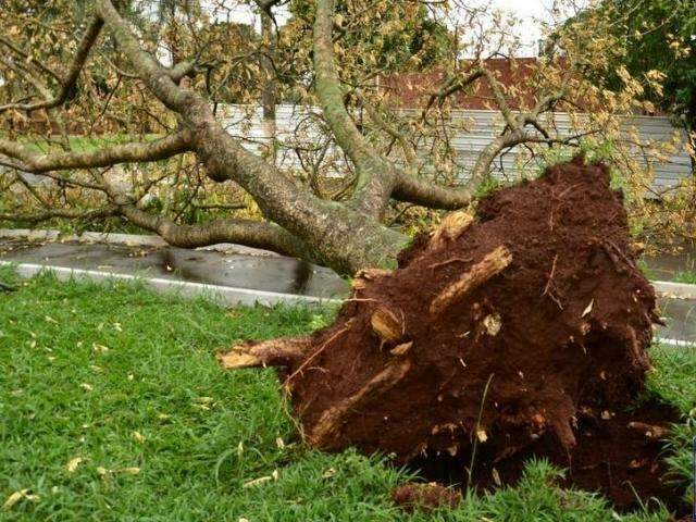 Vento de at&eacute; 80 km/h foi registrado em cidade durante temporal de domingo
