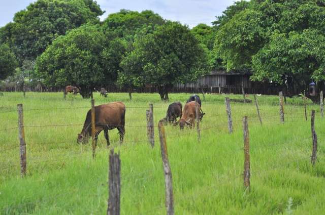 &Iacute;ndios invadem cinco propriedades e moradores denunciam clima de terror