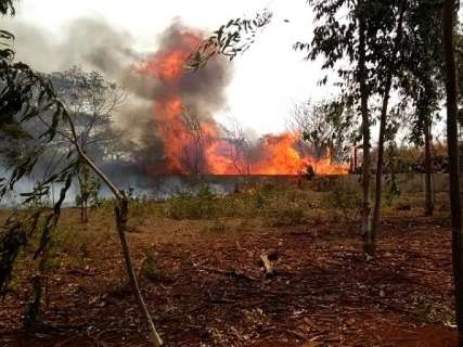 Inc&ecirc;ndio incomoda e assusta vizinhos de madeireira no Indubrasil h&aacute; 15 dias