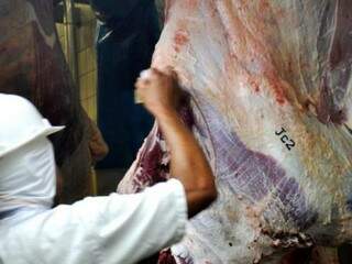 Carne bovina respondeu por 12% do que foi exportado por MS este ano (Foto: Divulgação)