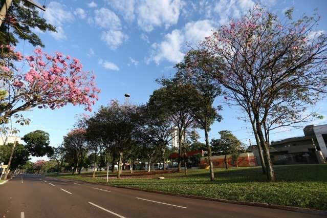 Domingo amanhece com n&eacute;voa &uacute;mida e ter&aacute; baixa probabilidade de chuva