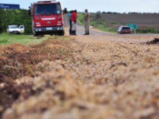 Caminhão carregado de grãos despeja 15 toneladas de soja em rodovia