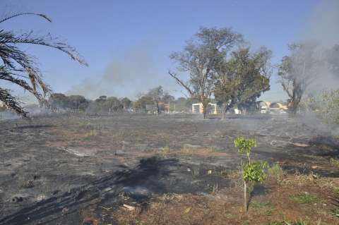 Moradores tentam conter incêndio em vegetação
