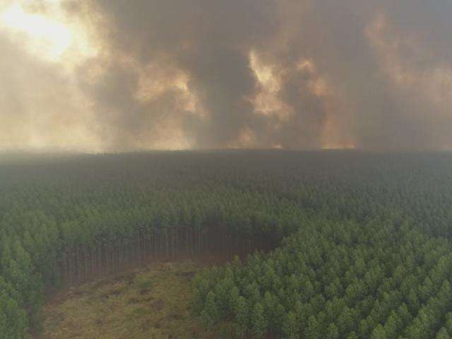 Inc&ecirc;ndio em propriedade rural consumiu &aacute;reas de preserva&ccedil;&atilde;o ambiental