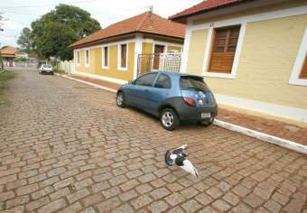  Trad participa da entrega da revitaliza&ccedil;&atilde;o das casas da Vila dos Ferrovi&aacute;rios