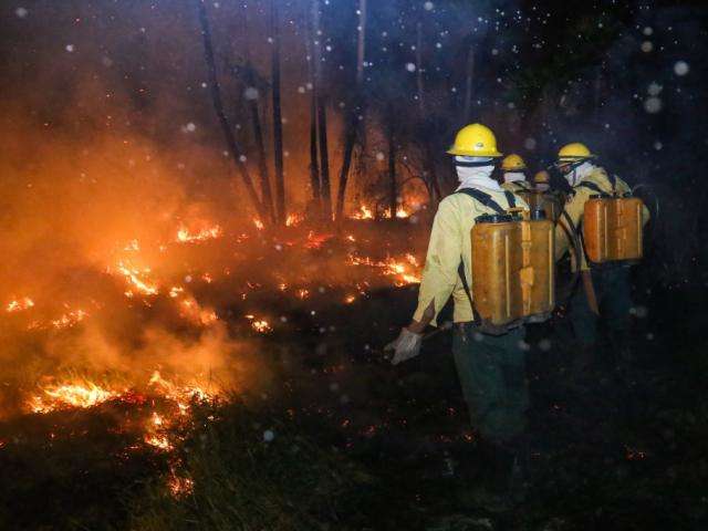 MS registrou 2.070 focos de calor em setembro, segundo dados do Inpe