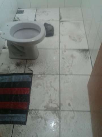 Chuva passageira e vento de at&eacute; 42Km/h provoca queda de &aacute;rvore e alagamentos