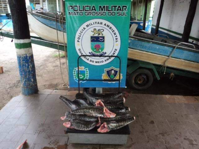 PMA prende turista paulista com 57 kg de pescado ilegal em Miranda