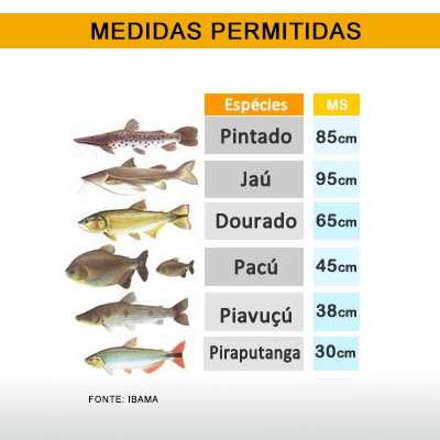 &Uacute;ltimo feriado antes da piracema lota pesqueiros de Mato Grosso do Sul