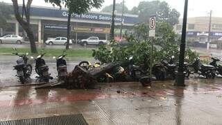 Motos atingidas por árvore em frente ao shopping de Dourados (Foto: Direto das Ruas)