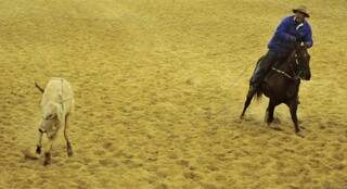 Pela regra, o laçador deve segurar o cavalo no brete até a saída do boi. Se entrar antes na pista perde ponto (Foto: CLC/Divulgação)