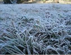 Com frio intenso, Bela Vista registra chuva congelante e geada 