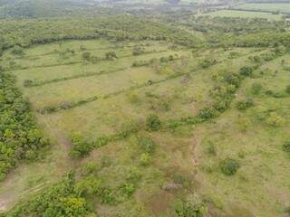 Ainda nesta semana, a PMA flagrou durante vistoria a uma propriedade rural de Nioaque, durante a Operação Cervo do Pantanal. (Foto: PMA)
