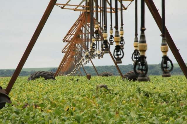 Mato Grosso do Sul aposta no escoamento da supersafra para contornar crise