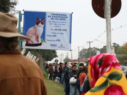 "Pais e mães" de gatos dormem na fila do CCZ para marcar castração gratuita
