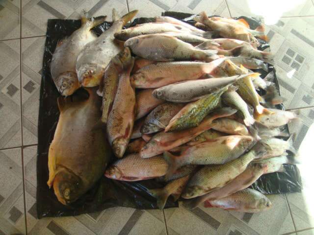  PMA apreende 28 kg de pescado e multa cinco pescadores no rio Cachoeir&atilde;o