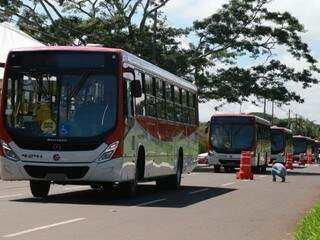 Veículos do transporte coletivo de Campo Grande (Foto: arquivo)