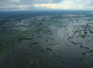 Região do Pantanal em época de cheia: monitoramento da Bacia do Rio Paraguai é uma das preocupações do MPE e do Ibama. (Foto: Arquivo)