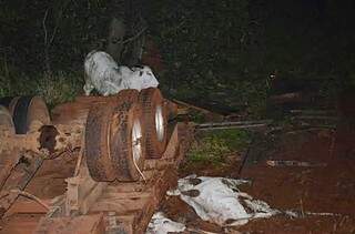 Parte da carga ficou espalhada na pista. (Foto: Sidnei Bronka) 