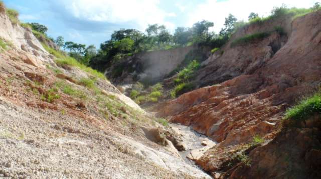 Pecuarista &eacute; multado em R$ 100 mil por destrui&ccedil;&atilde;o de nascentes e eros&otilde;es