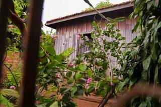 “Aqui é uma casa comum, feita de madeira forte porque nem cupim pega”, afirma a dona. (Foto: Kísie Ainoã)